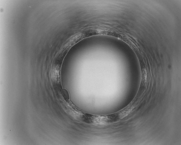 X0000087390527200704201245