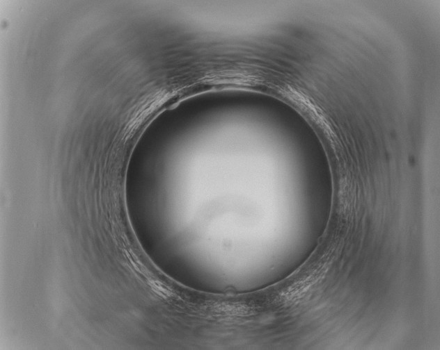 X0000087390529200704201244