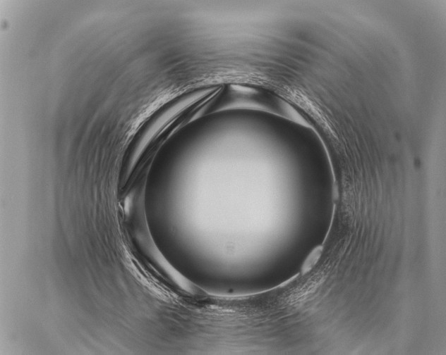 X0000087390530200704201244