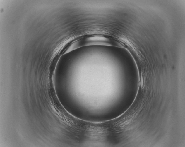 X0000087390531200704201244