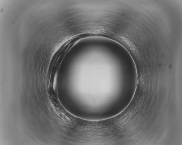 X0000087390532200704201244