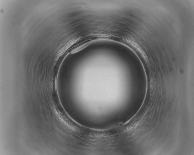 X0000087390533200704201245