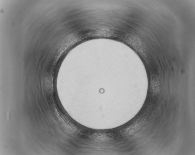 X0000087390534200704201245