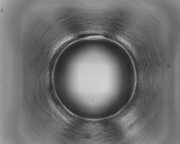 X0000087390535200704201245