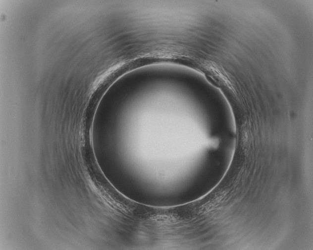 X0000087390536200704201245