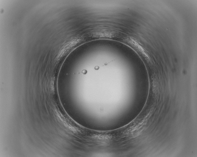 X0000087390537200704201245