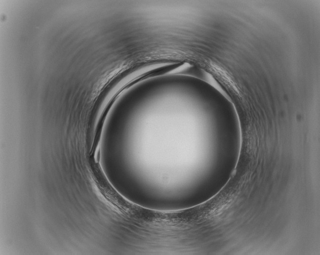 X0000087390538200704201245