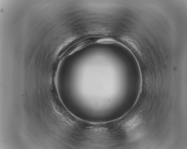 X0000087390539200704201245