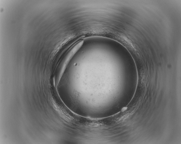 X0000087390542200704201245