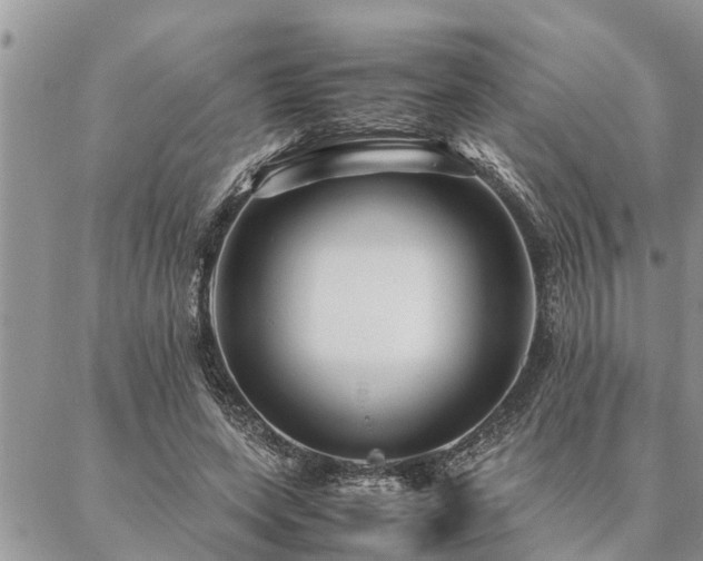 X0000087390543200704201245