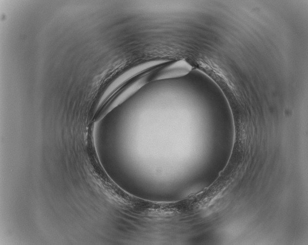 X0000087390545200704201245