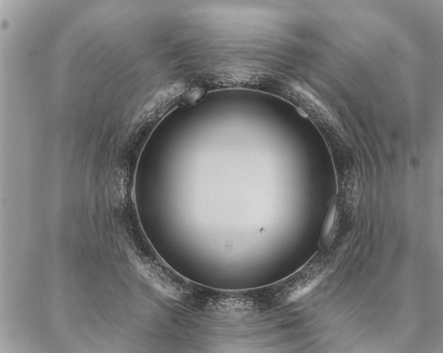 X0000087390546200704201245