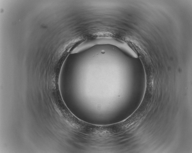 X0000087390547200704201245