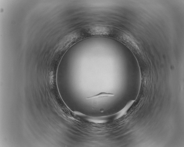 X0000087390549200704201245