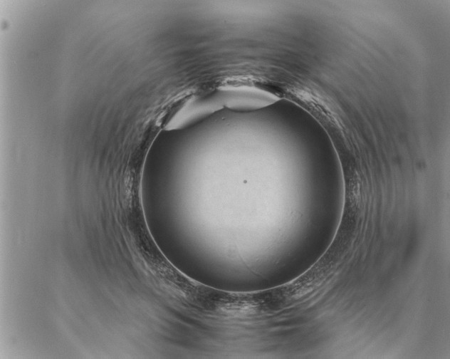 X0000087390551200704201245