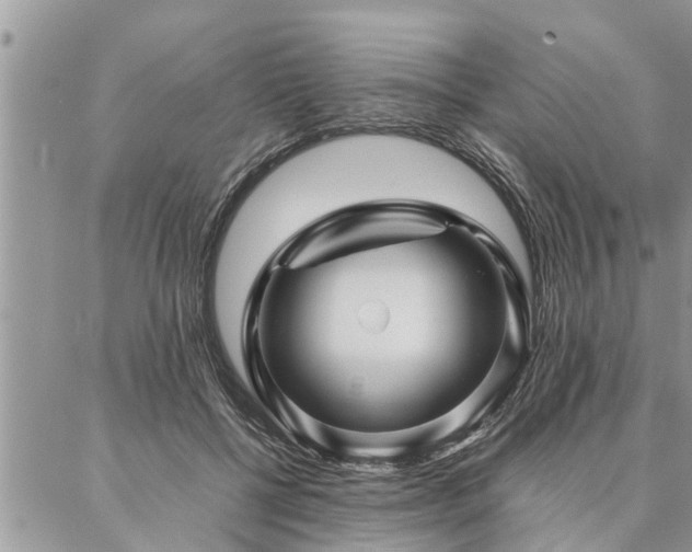 X0000087390552200704201245