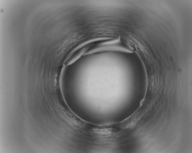 X0000087390553200704201245