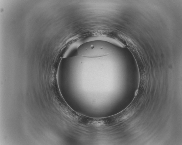 X0000087390554200704201245