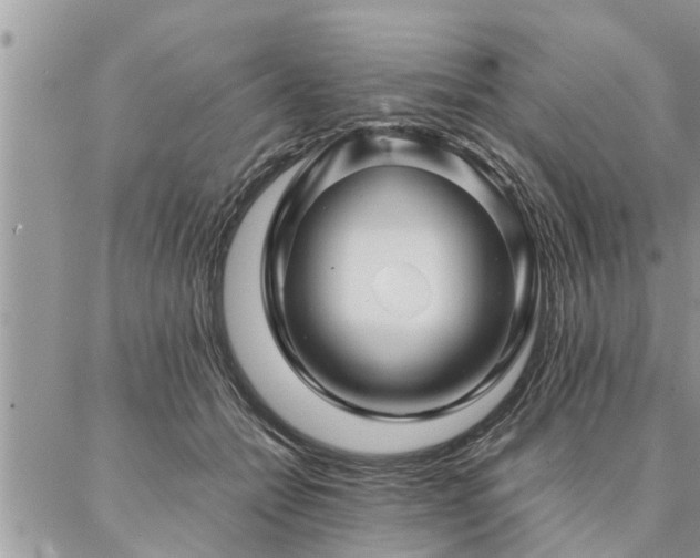 X0000087390558200704201245