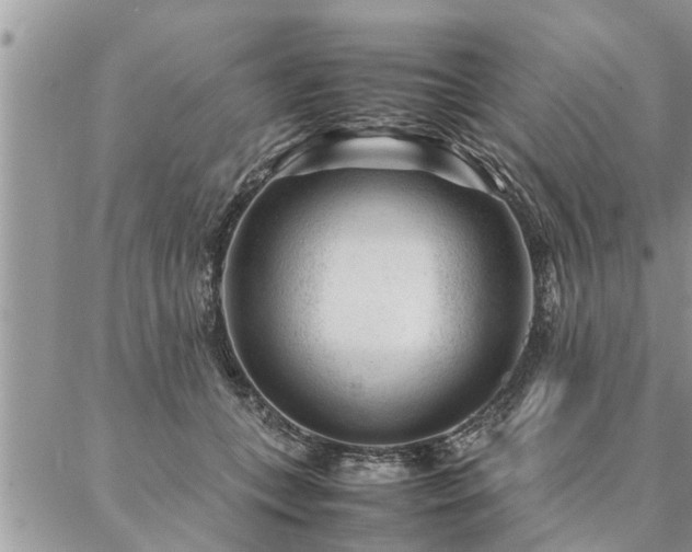 X0000087390559200704201245