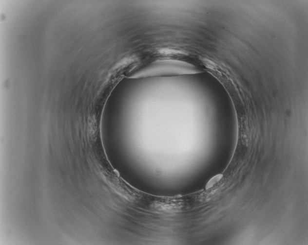 X0000087390563200704201245