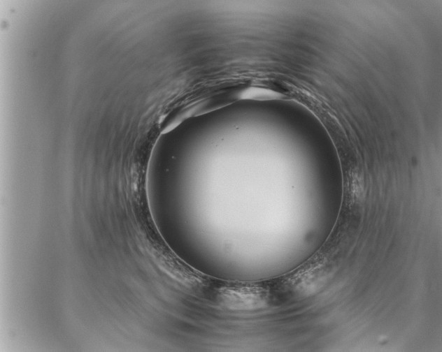 X0000087390567200704201245