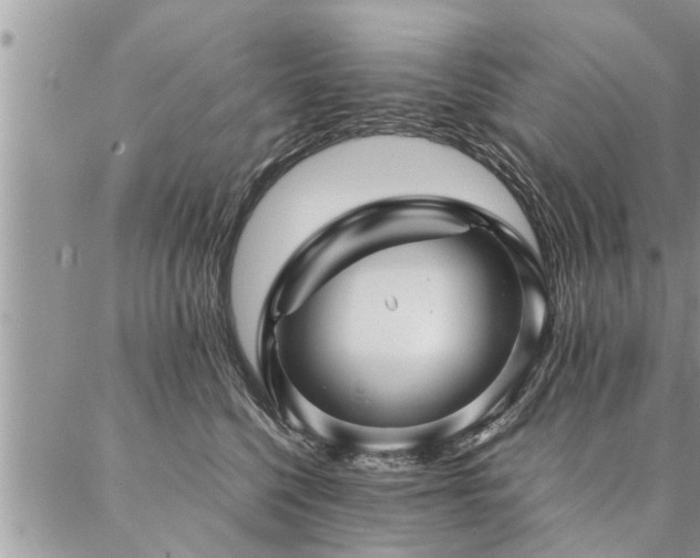 X0000087390568200704201245