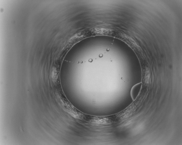 X0000087390569200704201245