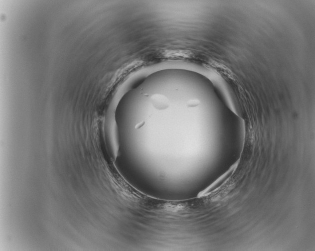 X0000087390570200704201245