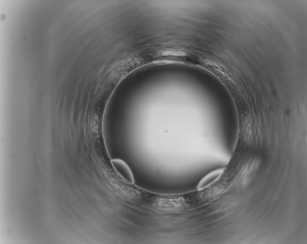 X0000087390571200704201245