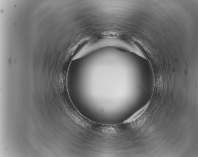 X0000087390572200704201245