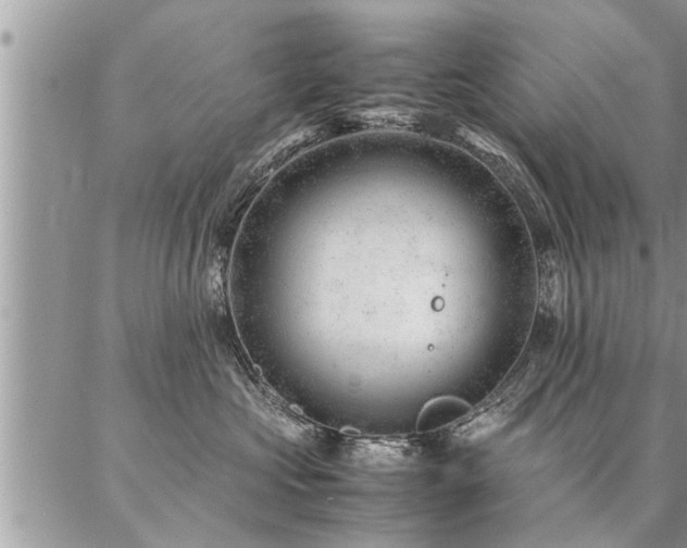 X0000087390573200704201245