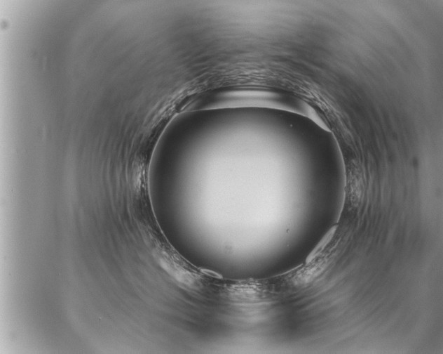 X0000087390574200704201245