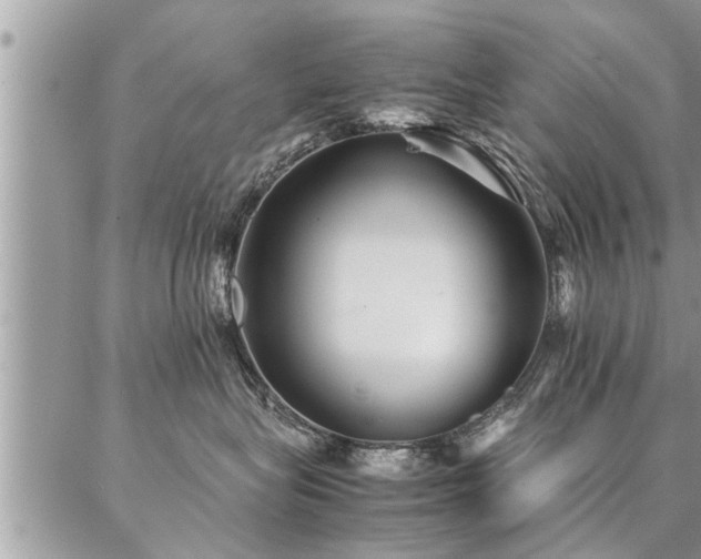 X0000087390575200704201245