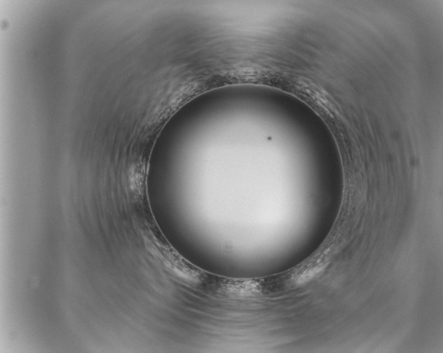 X0000087390576200704201245