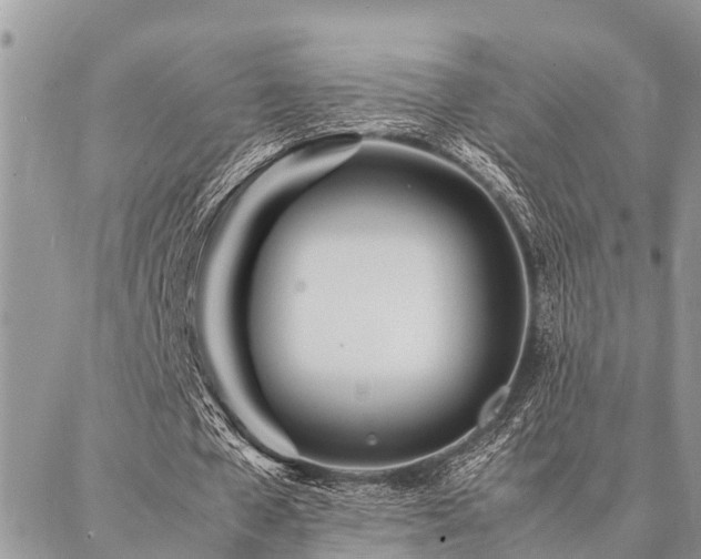 X0000087390577200704201244