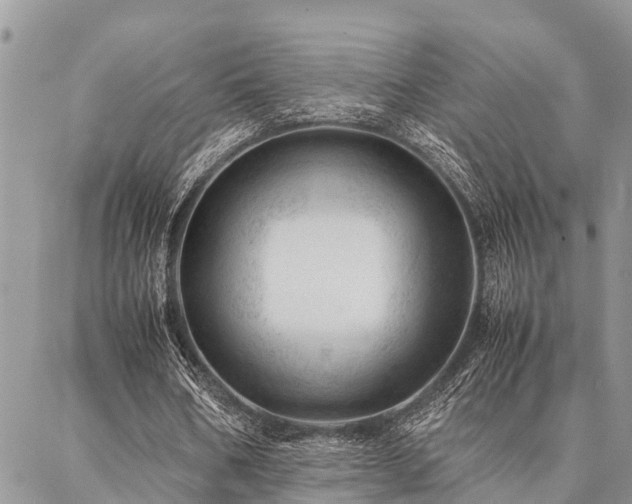 X0000087390578200704201244