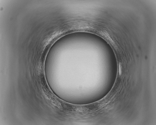 X0000087390579200704201244