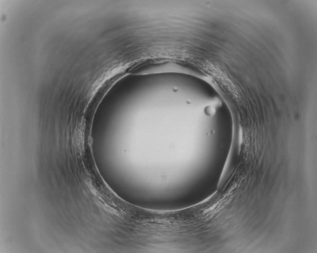 X0000087390580200704201244