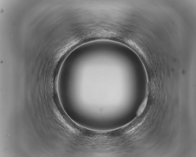 X0000087390581200704201244