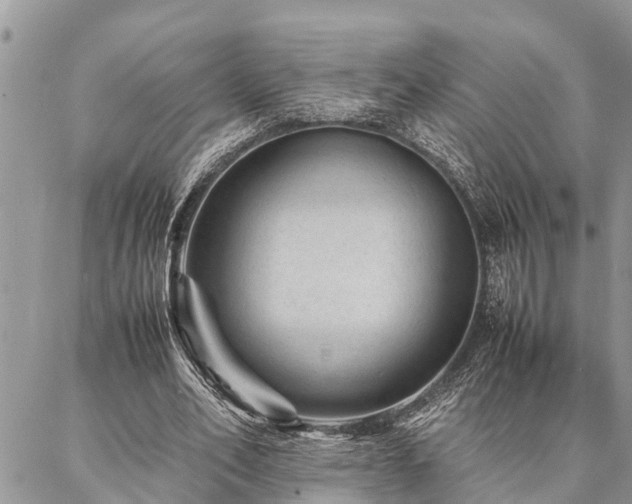 X0000087390582200704201244