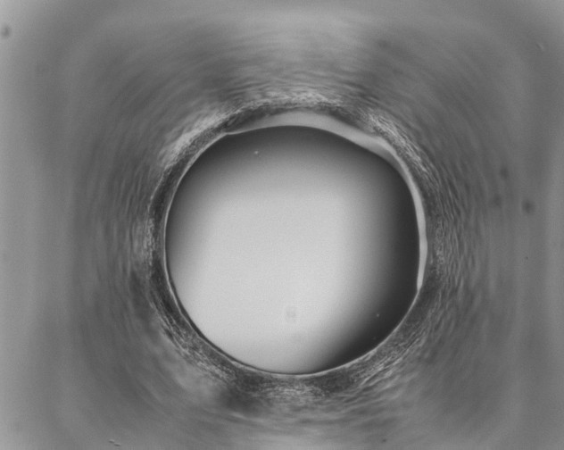 X0000087390583200704201244