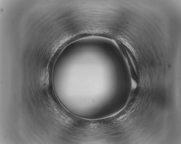 X0000087390584200704201244