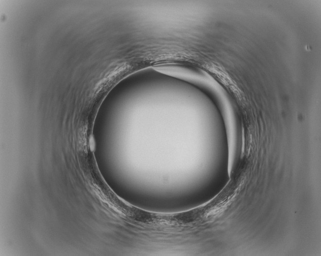 X0000087390585200704201244