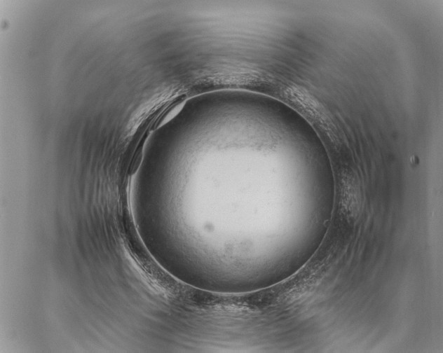 X0000087390586200704201244