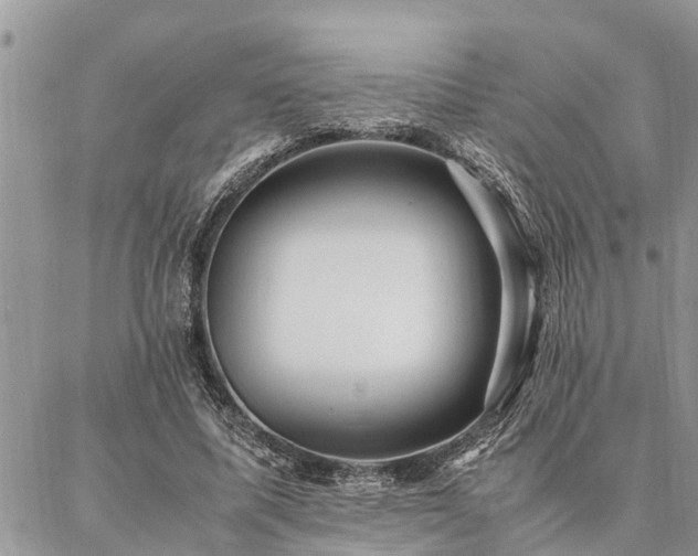 X0000087390587200704201244