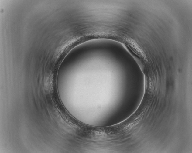 X0000087390588200704201244