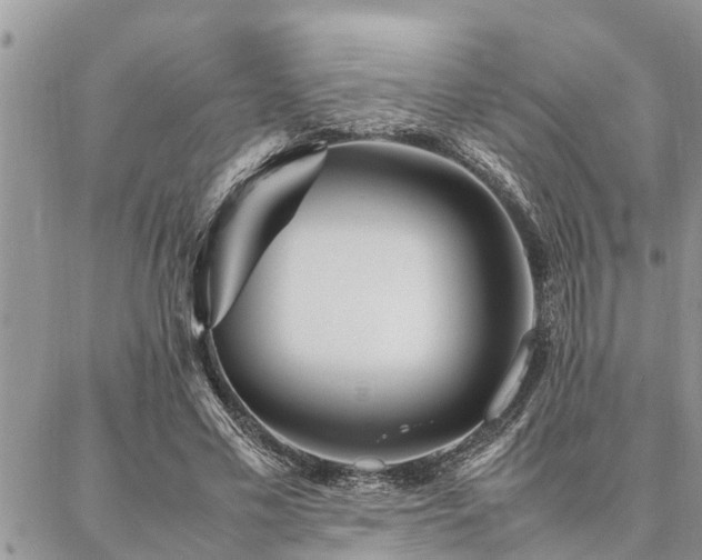 X0000087390589200704201244