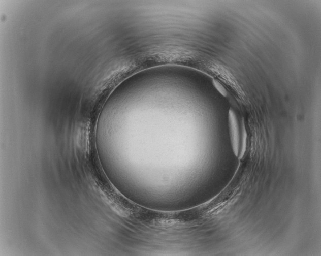 X0000087390590200704201244