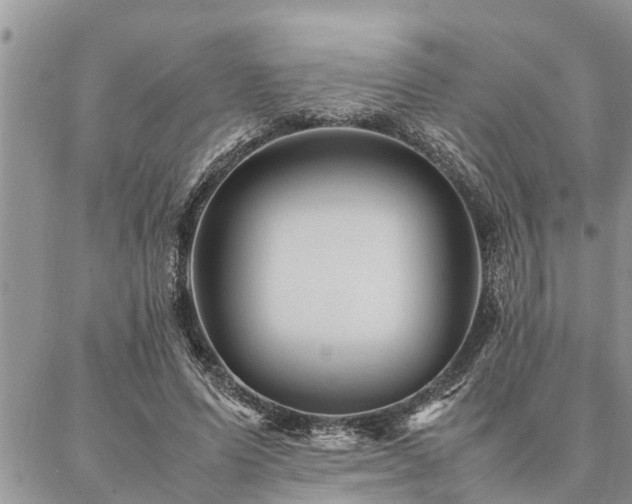 X0000087390591200704201244